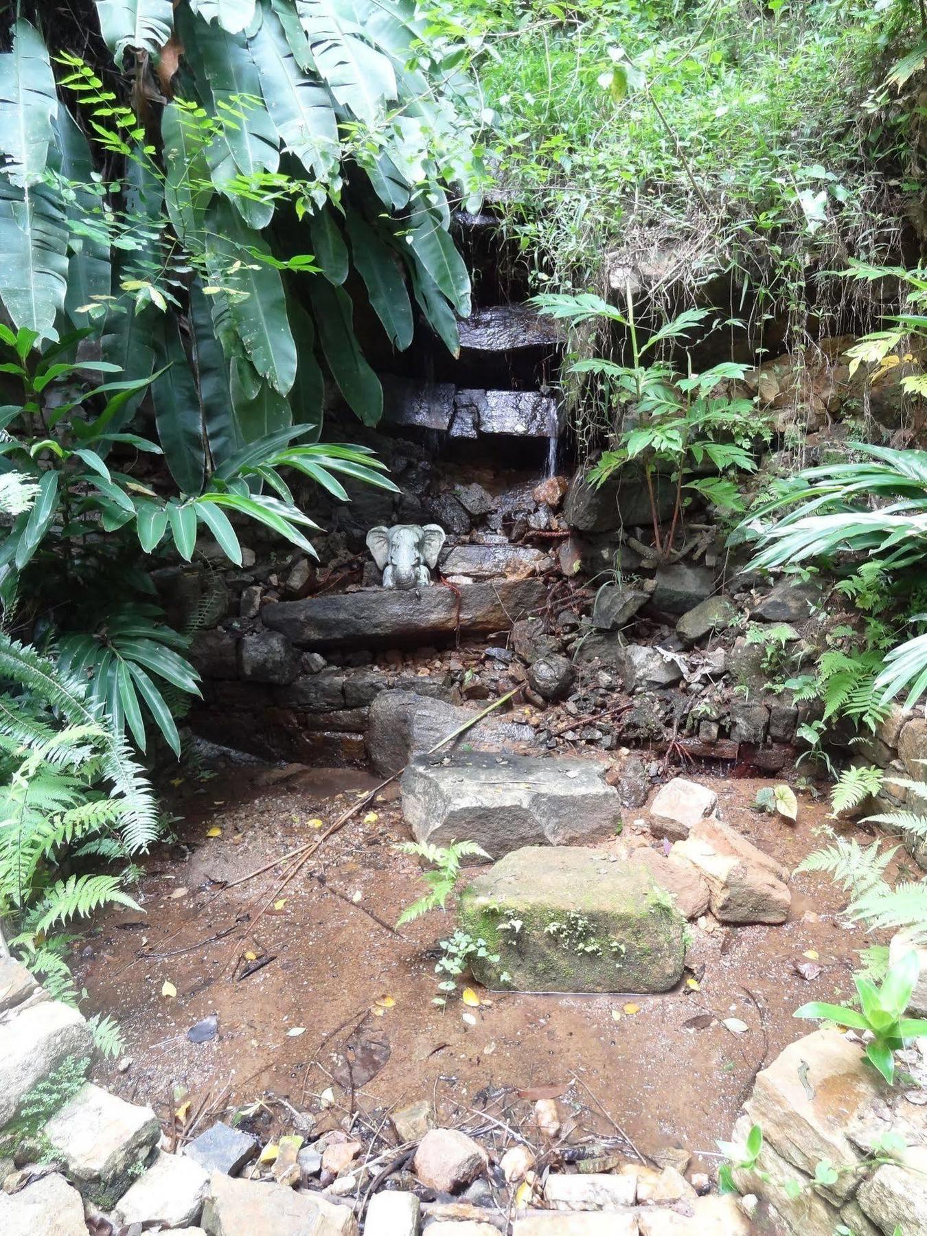 Strathisla Tea Estate Bungalow Matale Exterior photo