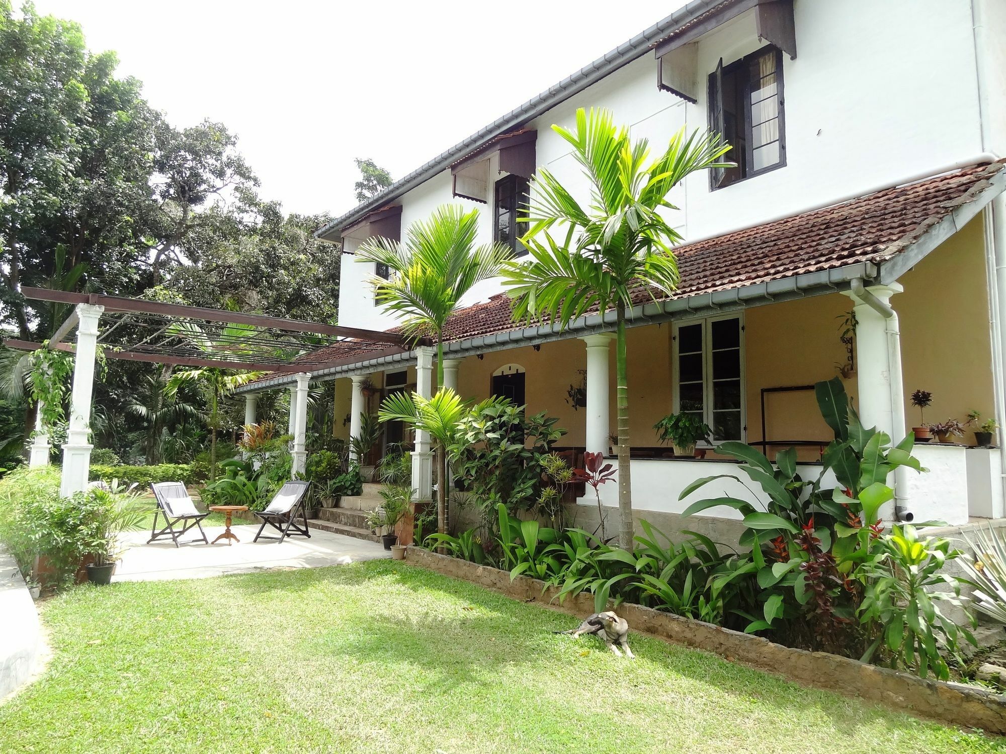 Strathisla Tea Estate Bungalow Matale Exterior photo